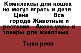 Комплексы для кошек, но могут играть и дети › Цена ­ 11 900 - Все города Животные и растения » Аксесcуары и товары для животных   . Тыва респ.